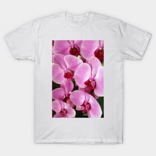 Pink Orchid T-Shirt